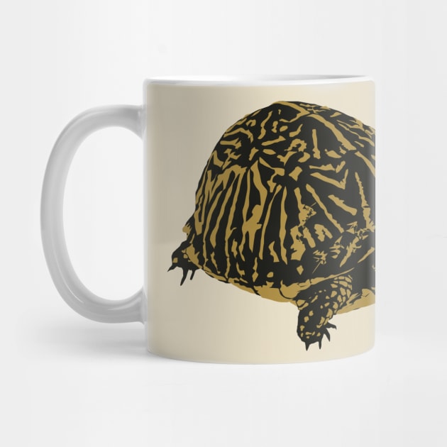 Florida Box Turtle by stargatedalek